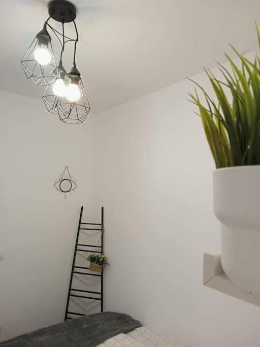 Precioso Apartamento Con Terraza En Piso Superior 洛斯雷尔雷赫斯 外观 照片