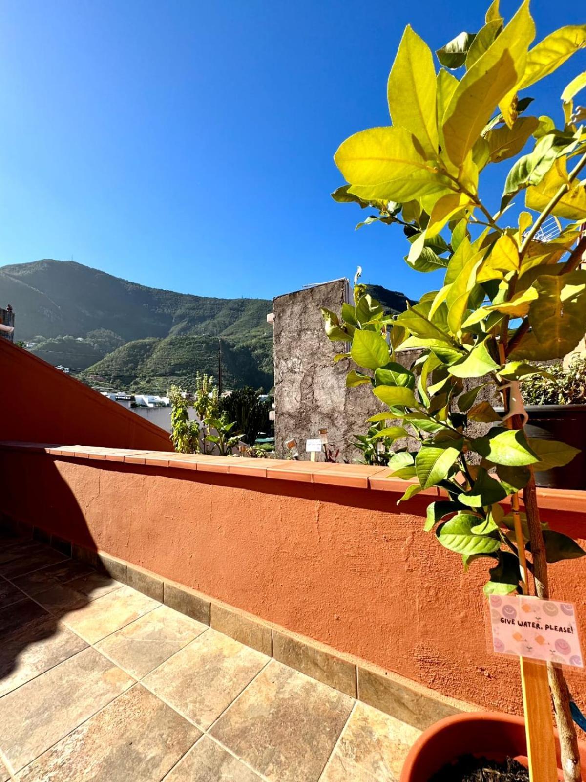 Precioso Apartamento Con Terraza En Piso Superior 洛斯雷尔雷赫斯 外观 照片